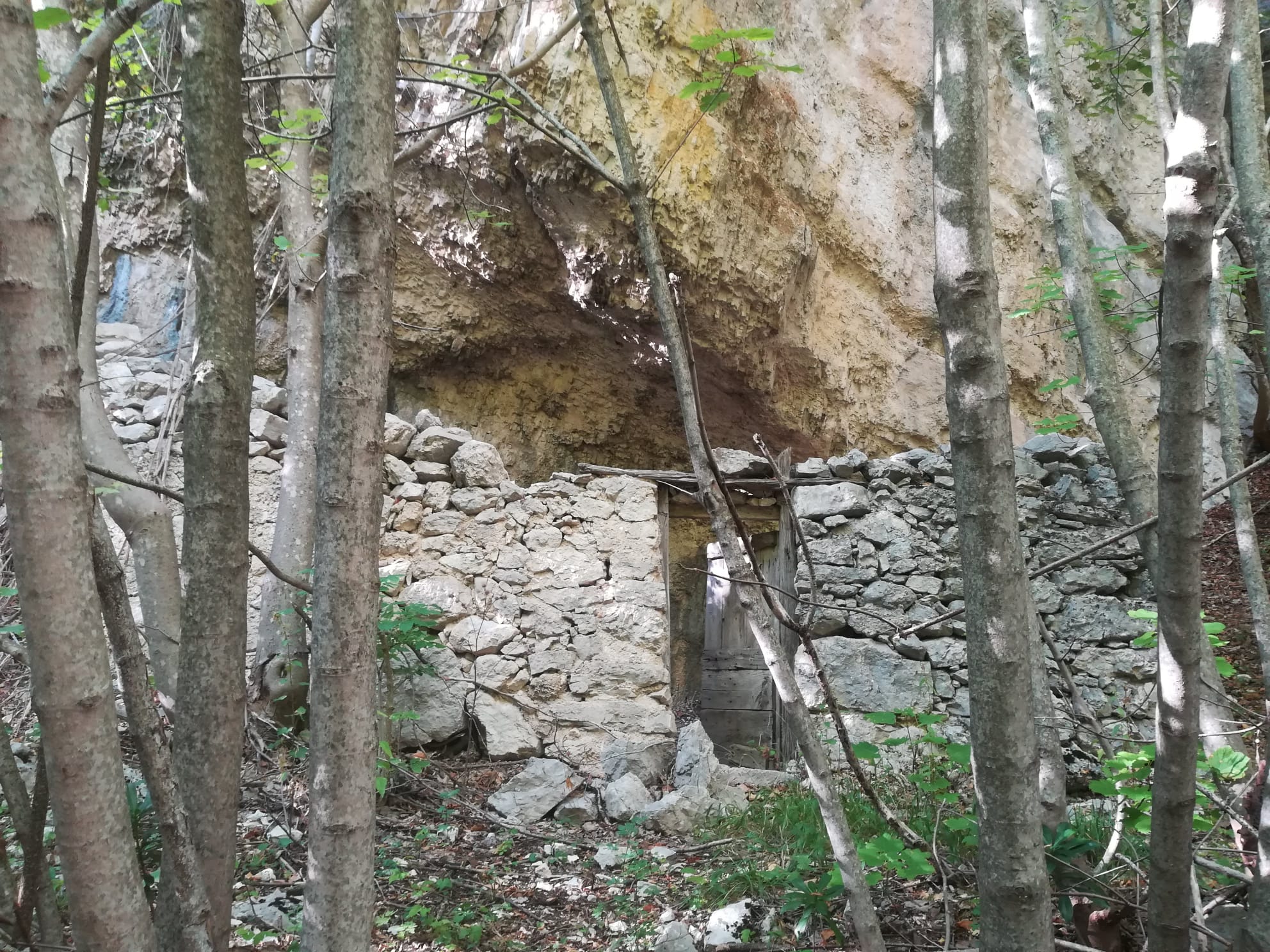 Stazzo numero 2, vista frontale. Il muro in pietra con la piccola porta in legno 