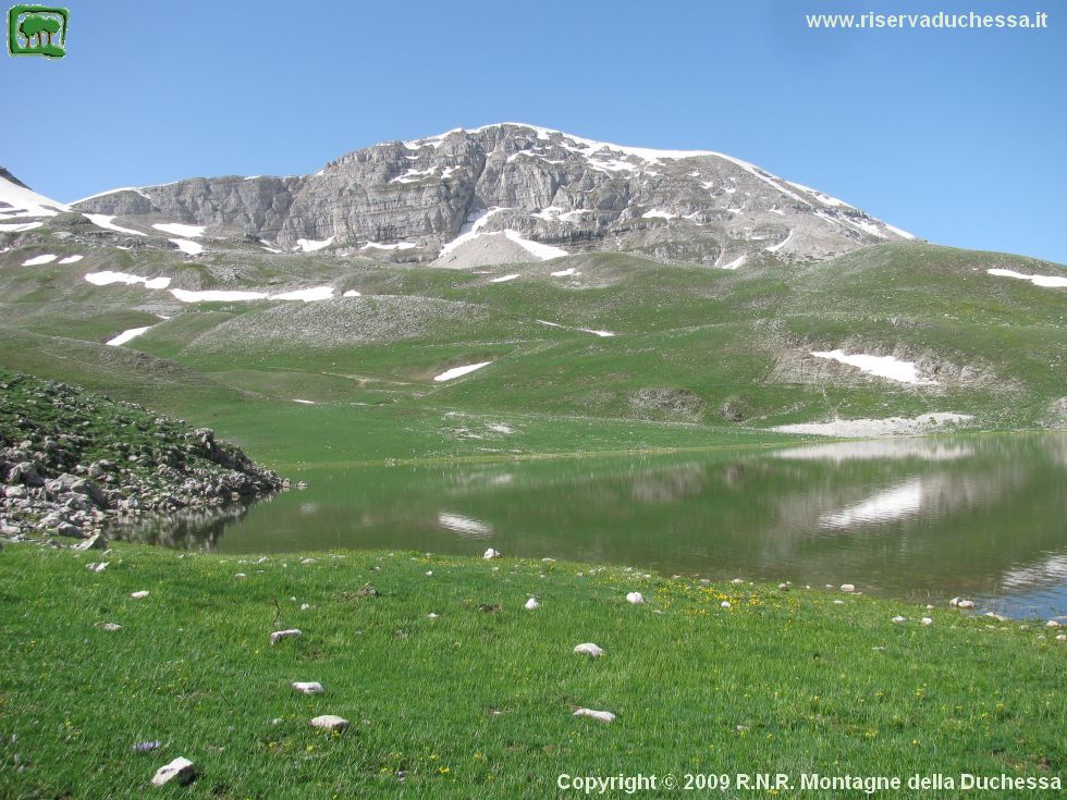 15. In primavere i colori della natura vengono esaltati.