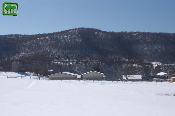 I casali in inverno (vista sul lato orientale)