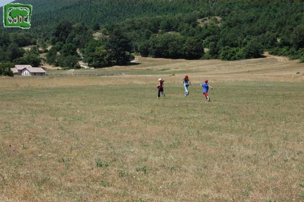 13. Estate: i prati intorno a Cartore