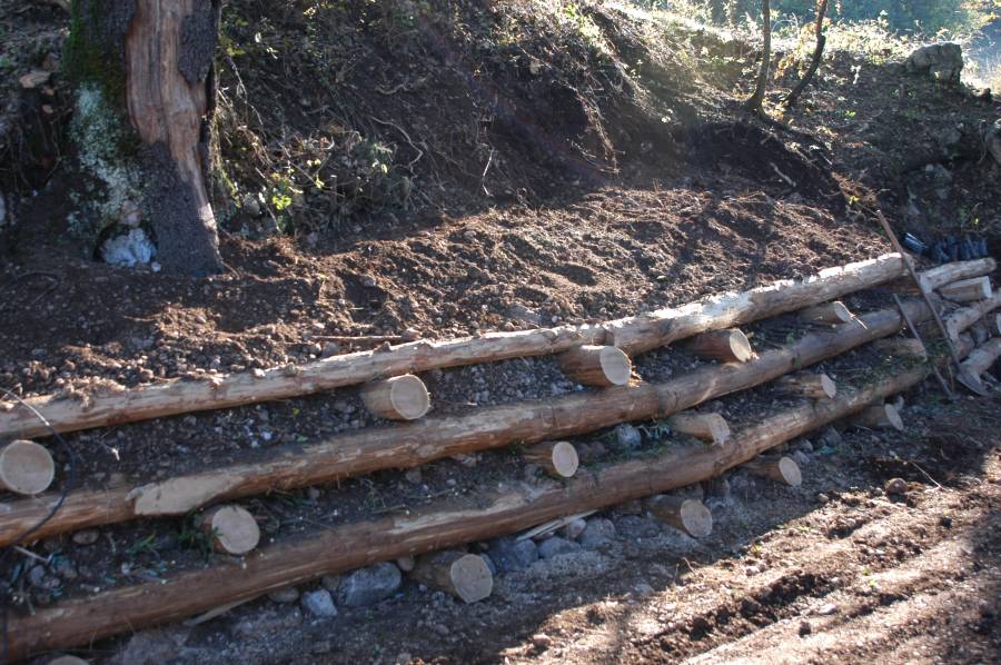 Foto Cantiere d'ingegneria  Naturalistica