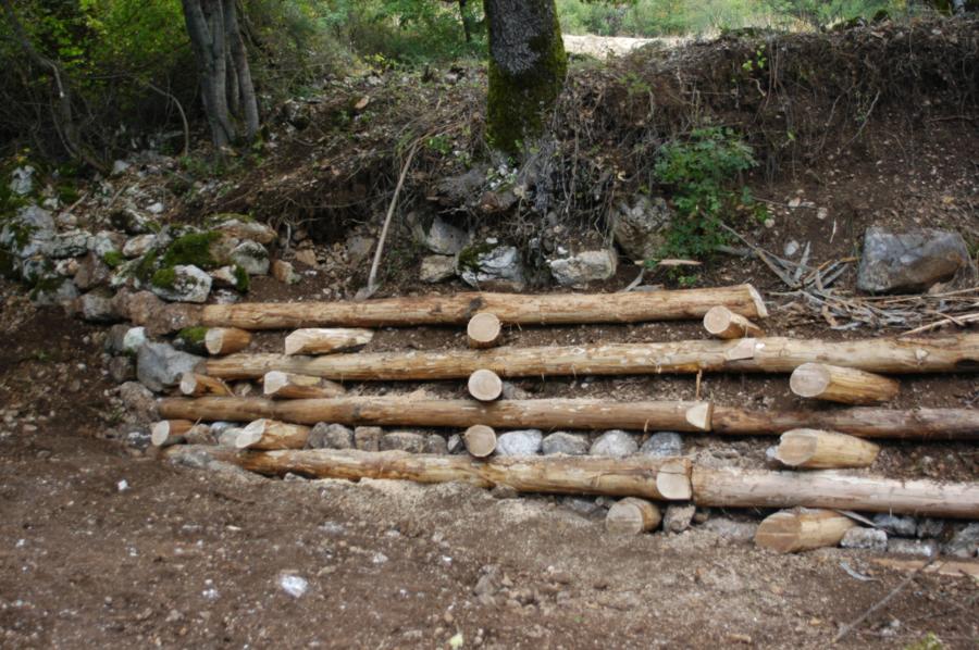 Foto Cantiere d'ingegneria  Naturalistica