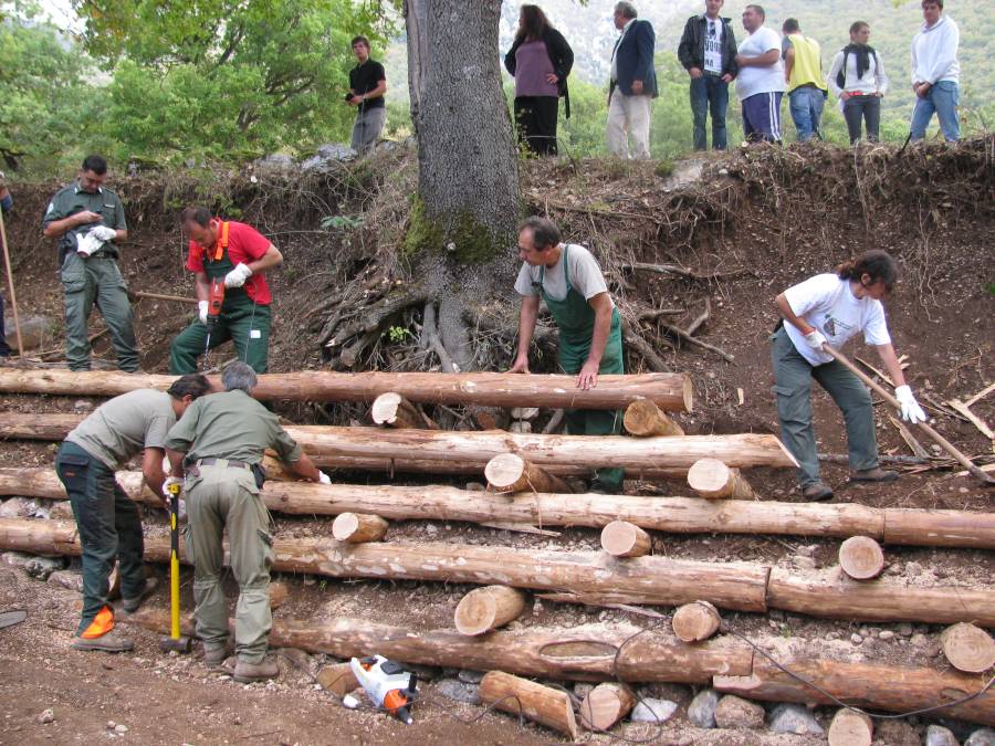 Foto Cantiere d'ingegneria  Naturalistica