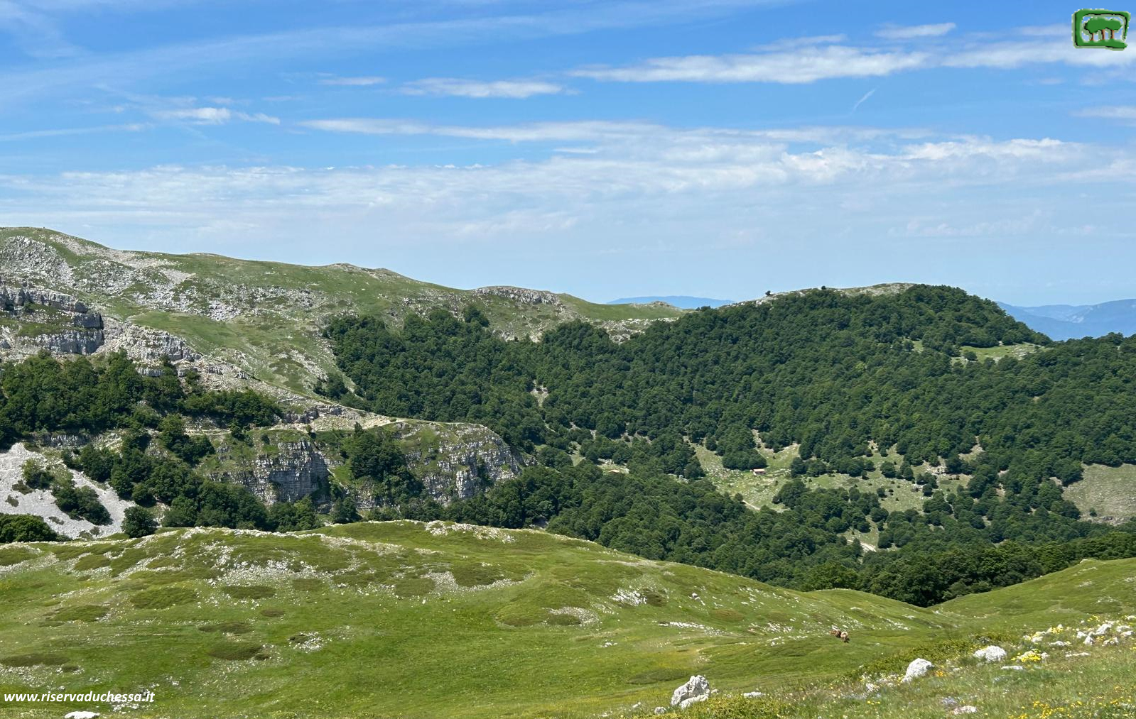 La conca dei rifugi di Fonta la Vena e i balzi della sorgente sulla parte destra della foto