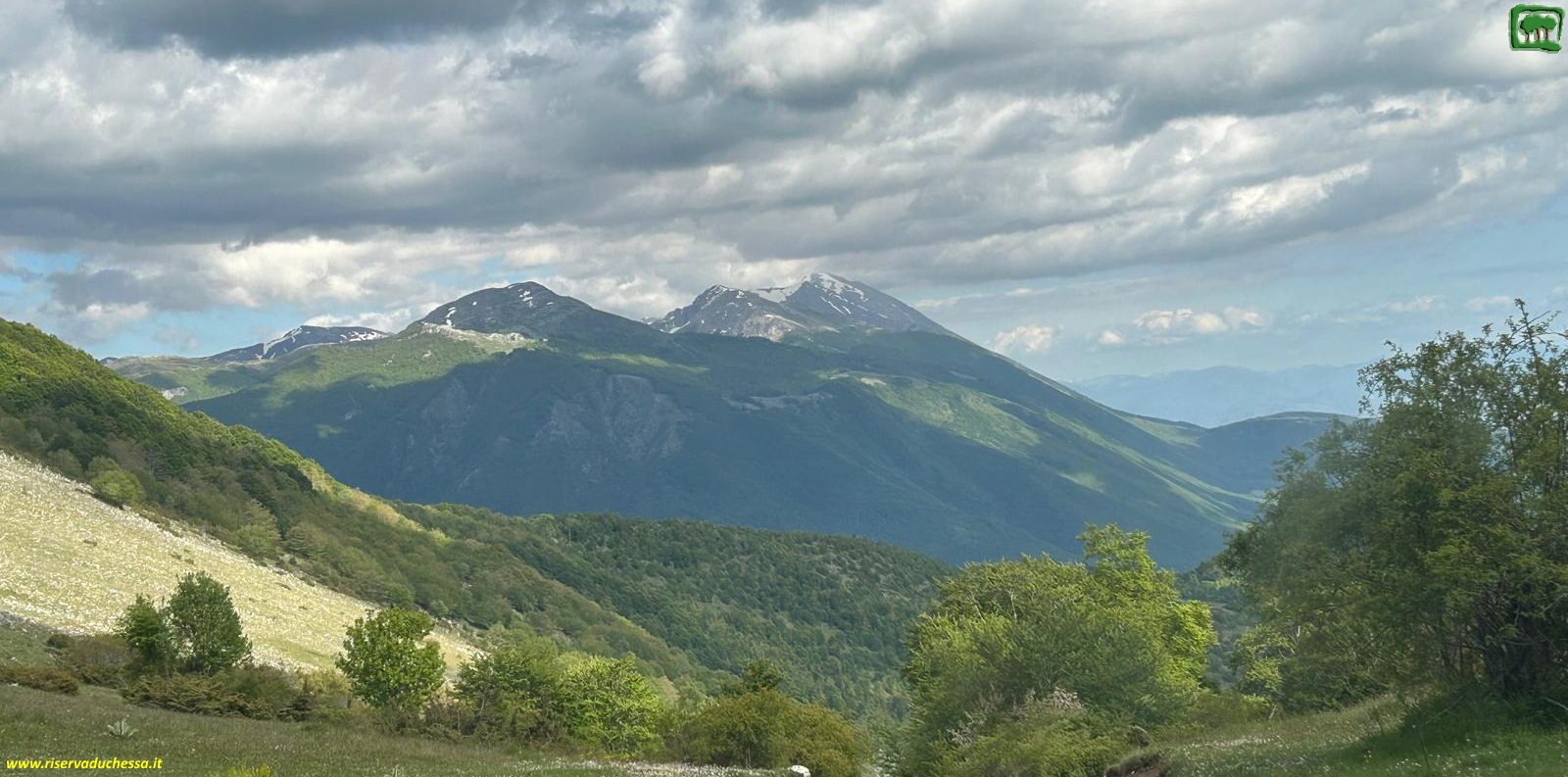 Vista delle cime del massiccio Velino - Duchessa dal valico, vestito di verde ad inizio giugno