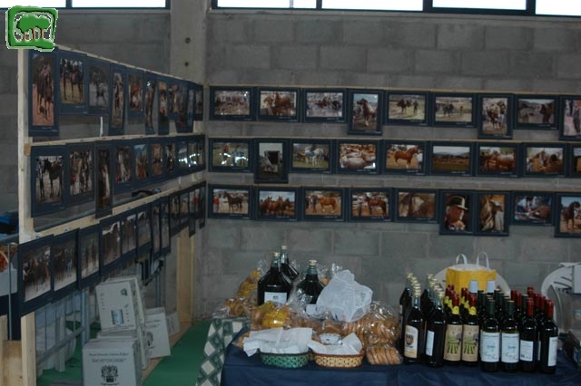 Mostra Equina 2004, Corvaro di Borgorose (RI), Ottobre 2004
