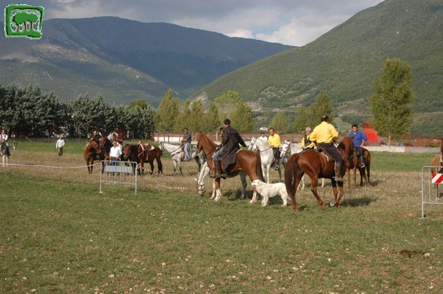 Mostra Equina 2004, Corvaro di Borgorose (RI), Ottobre 2004