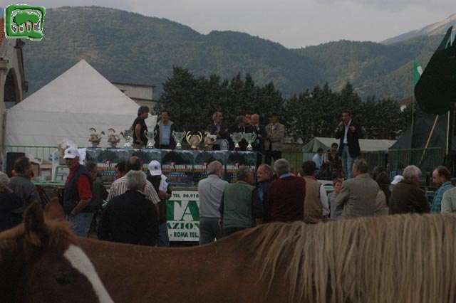 Mostra Equina 2004, Corvaro di Borgorose (RI), Ottobre 2004