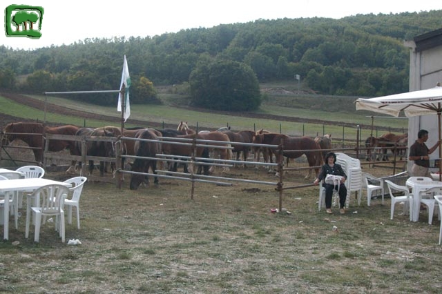 Mostra Equina 2004, Corvaro di Borgorose (RI), Ottobre 2004