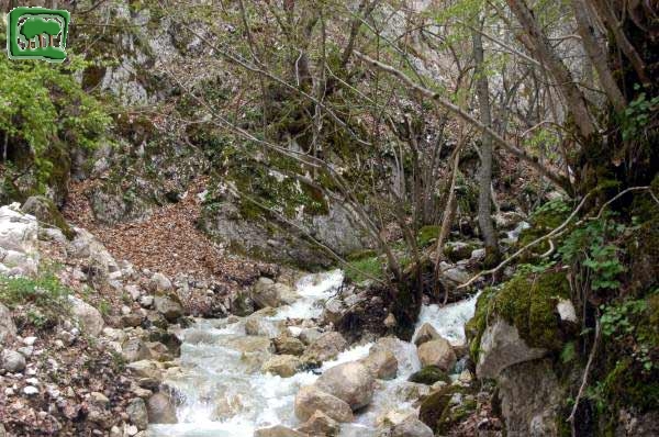 Il torrente stagionale Valle Amara (1)