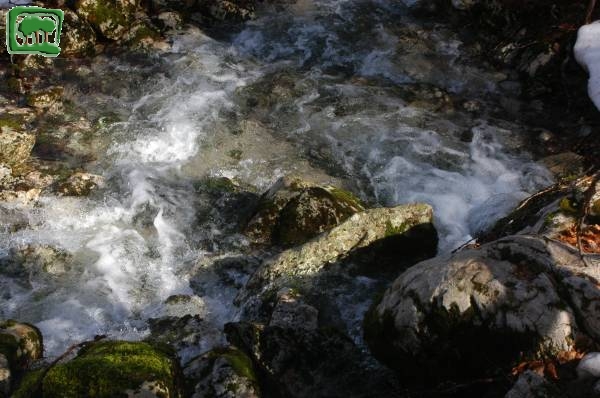 Il torrente stagionale Valle Amara (2)