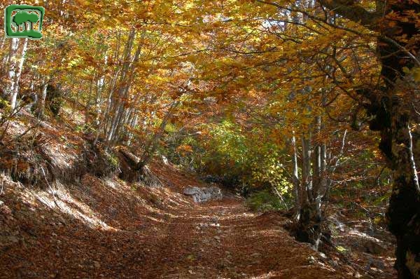 La Valle della Cesa in autunno